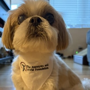 Team Page: Marley's Paw Crew